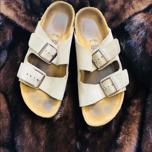 BIRKENSTOCK Arizona Suede Leather